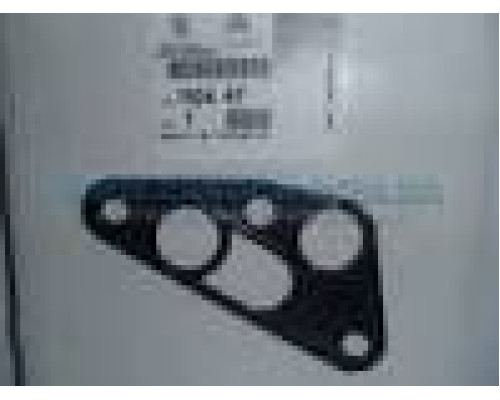 ПРОКЛАДКА КОРП.МАСЛЯН. ФИЛЬТРА  DUCATO250 2.2HDI (puma) 110447
