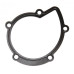 ПРОКЛАДКА ПОМПЫ SCUDO270 2.0JTD EL394280