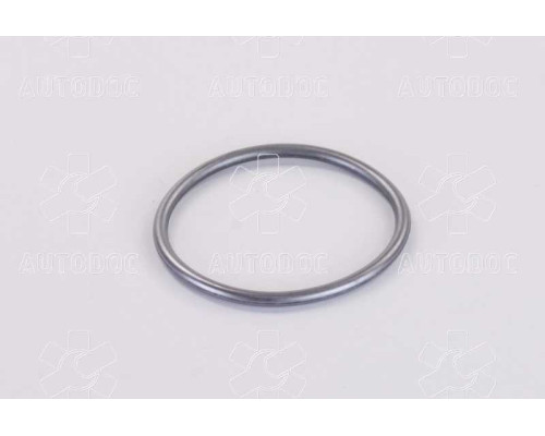 УПЛОТНИТЕЛЬНОЕ КОЛЬЦО ТНВД BOSCH CR F01M100114