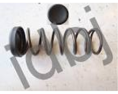 ПРУЖИНА ПОЛУОСИ(с тарелочкой) DUCATO230/DUCATO244/DUCATO250 46308314