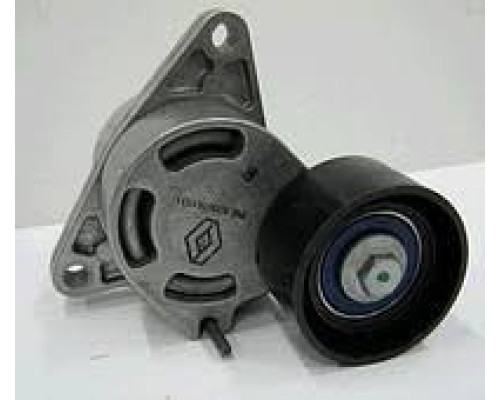 НАТЯЖИТЕЛЬ РЕМНЯ ГЕНЕРАТОРА TRAFIC/MASTER 2.2CDI/2.5CDI 8200761529