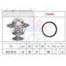 ТЕРМОСТАТ DUCATO250 (puma) 2.2JTD TH26988G1